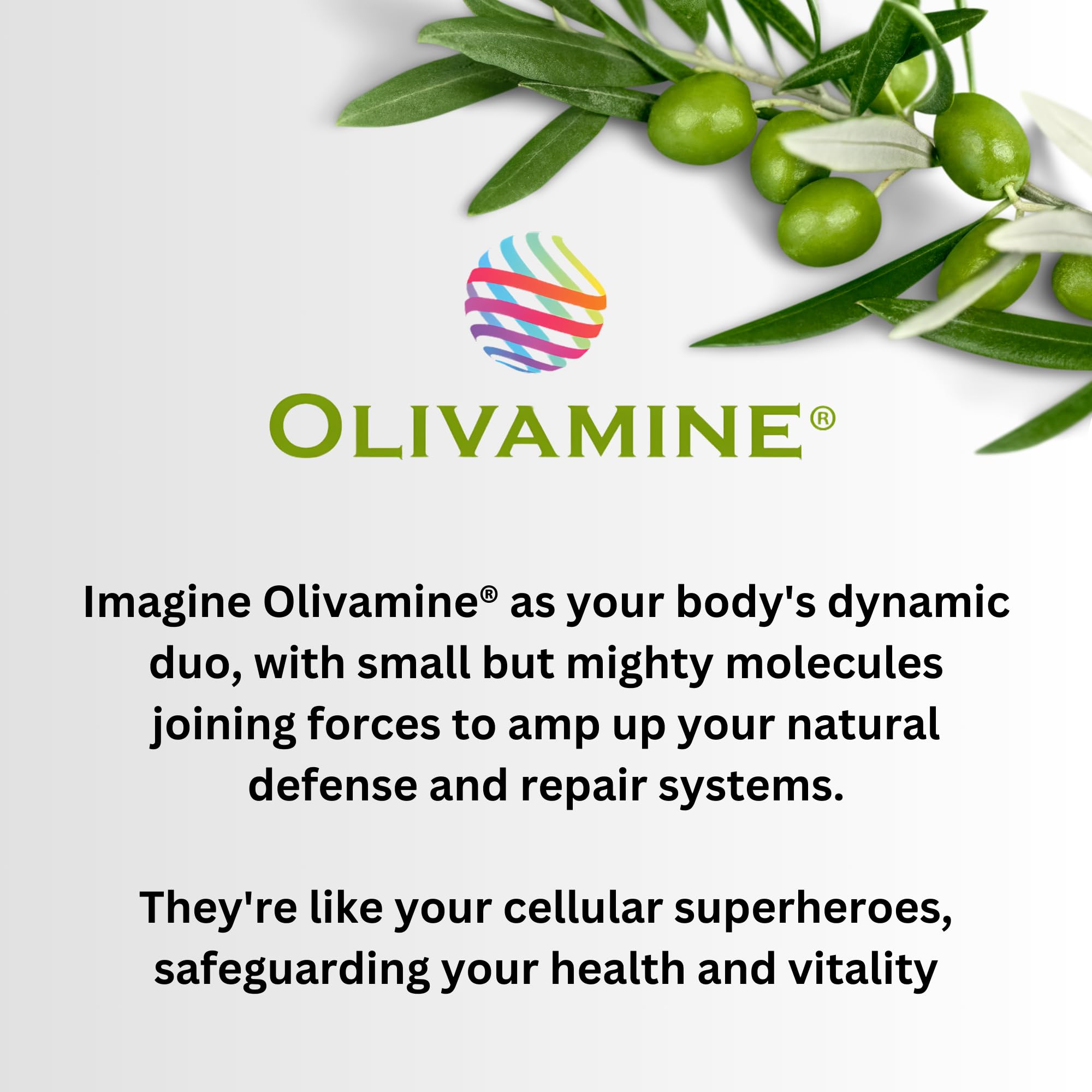 Olivamine ingredients including D3, B6 and B12 for brain support