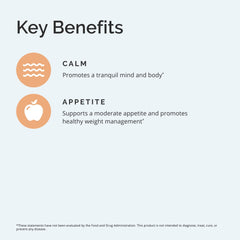 Vitamins B12, B6, and Folate for serotonin production
