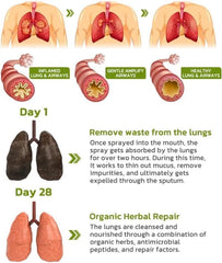 Spray nozzle dispensing mist from BreathDetox Lung Cleansing Spray