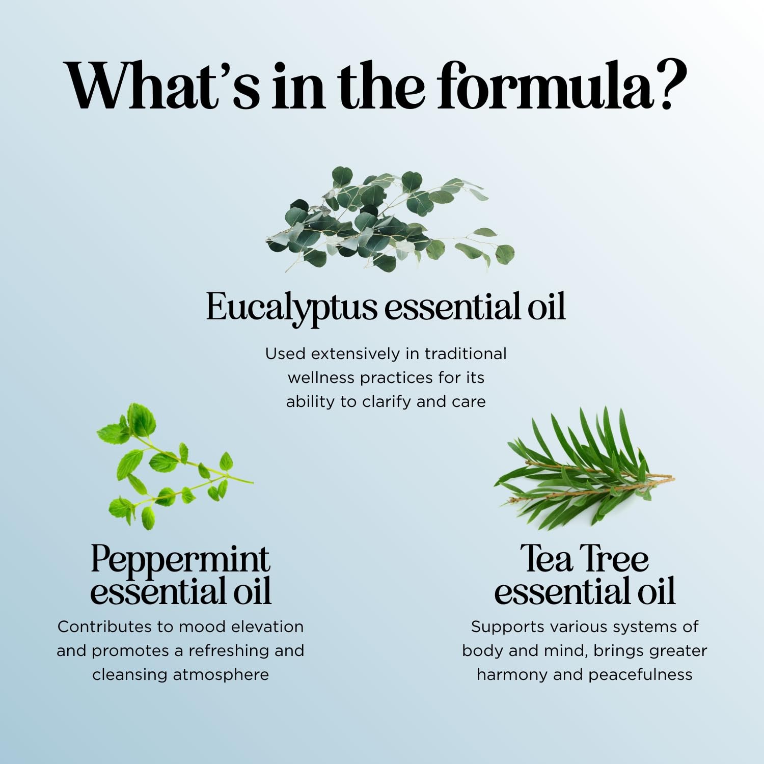 Shower aromatherapy setup using Breathe essential oil diffuser blend
