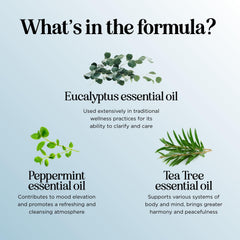 Shower aromatherapy setup using Breathe essential oil diffuser blend