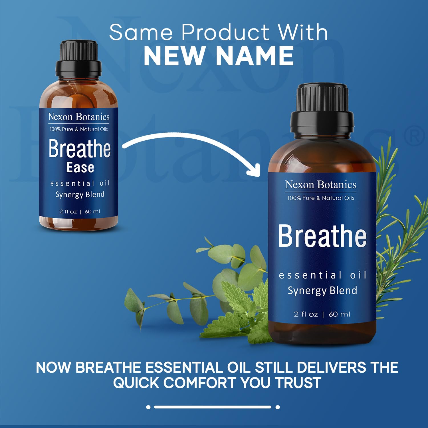 Humidifier set up with Breathe oil release