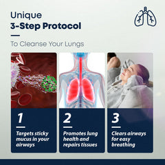 Illustration of lungs with improved breathing and mucus reduction