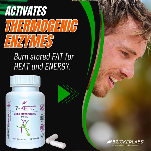Illustration of thermogenesis and fat burning with 7-Keto DHEA metabolite