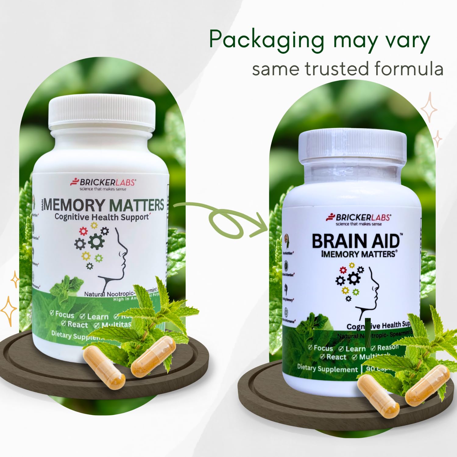 Cognitive function and memory illustration