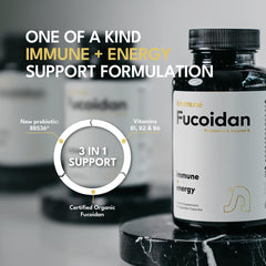 Illustration of immune support and gut health benefits