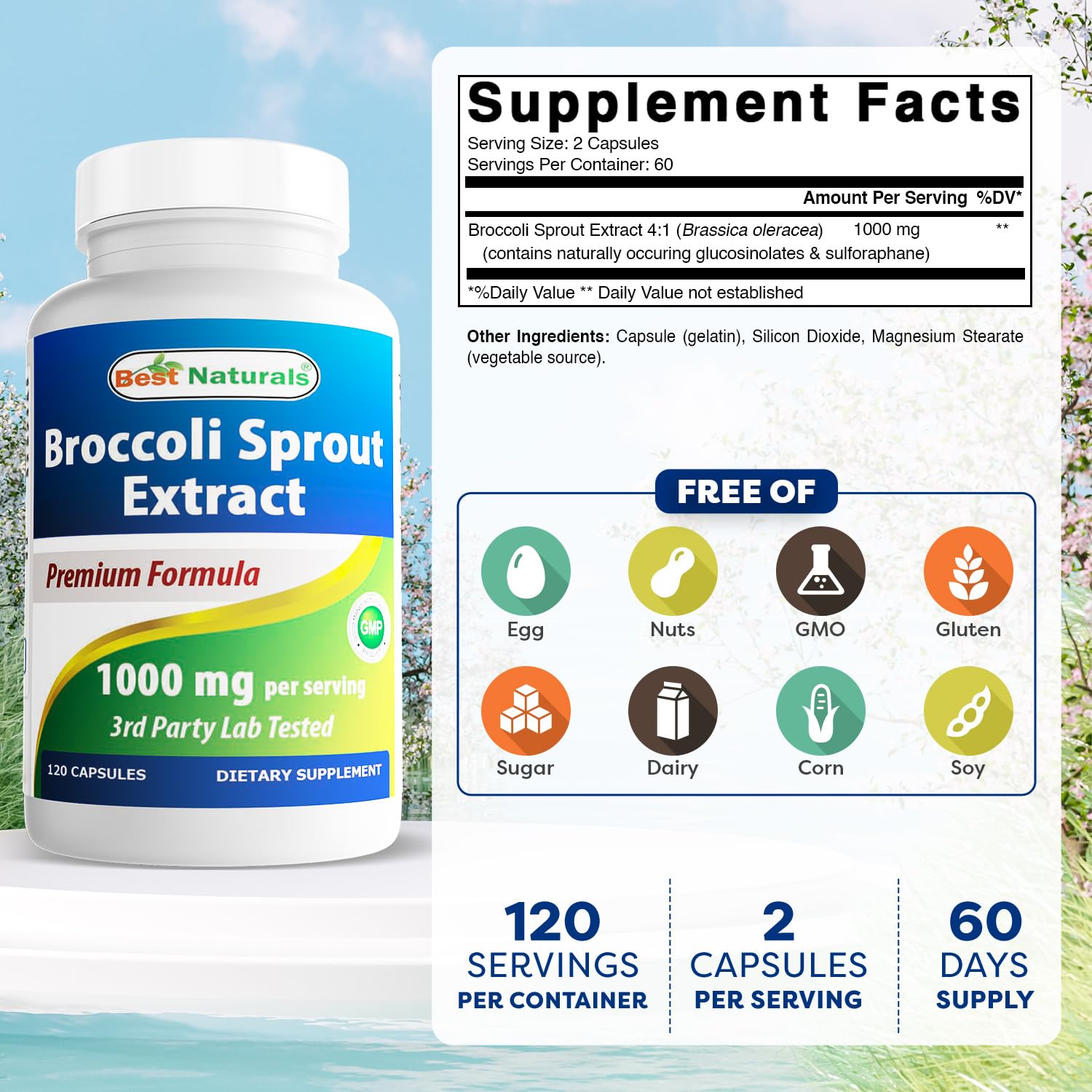 Close-up of broccoli sprouts extract capsules