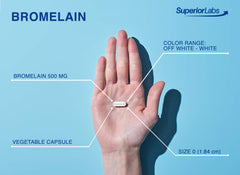 Graphic illustrating Bromelain digestive support