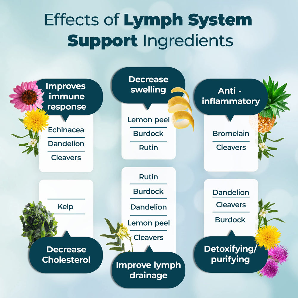 Bromelain and Dandelion ingredients for lymph support