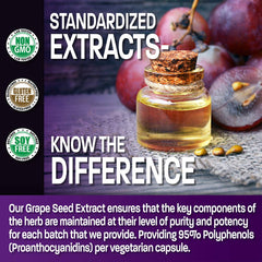 Label showing 95% polyphenols (proanthocyanidins) standardization