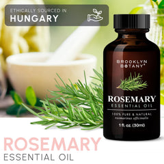 Therapeutic grade rosemary essential oil label