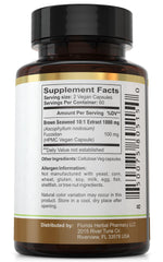 Brown seaweed source fucoidan illustration