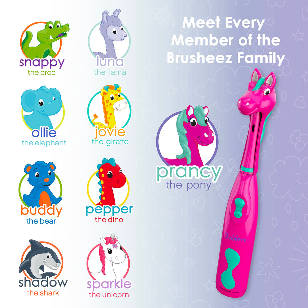 Box and warranty information for Brusheez Kids' Toothbrush