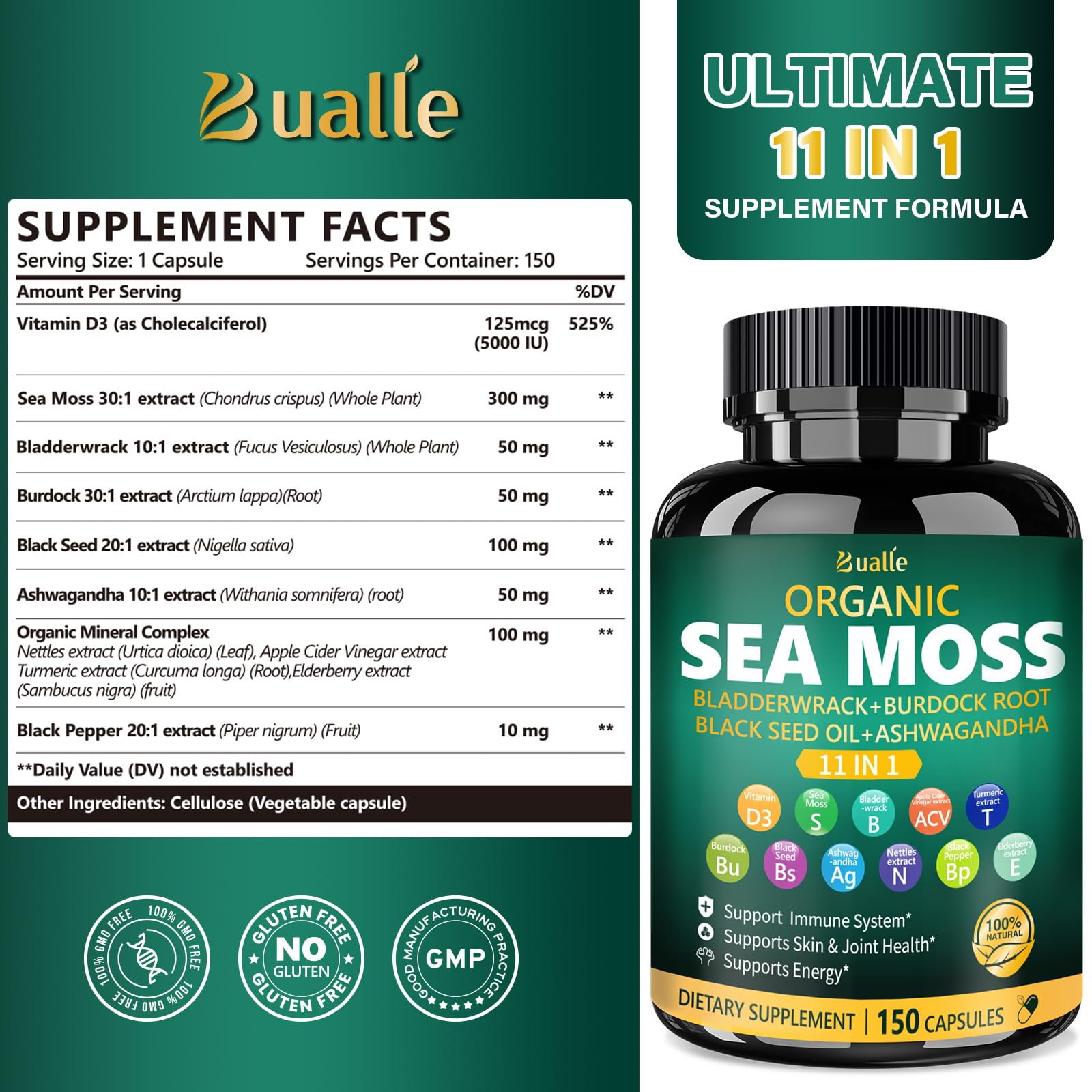 Illustration showing the 11 ingredients in Bualle Sea Moss Capsules