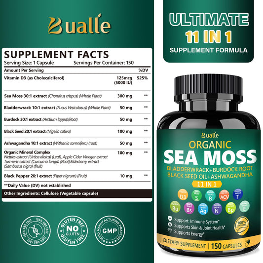 Illustration showing the 11 ingredients in Bualle Sea Moss Capsules