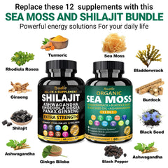 Bualle Sea Moss label closeup highlighting natural ingredients for vitality