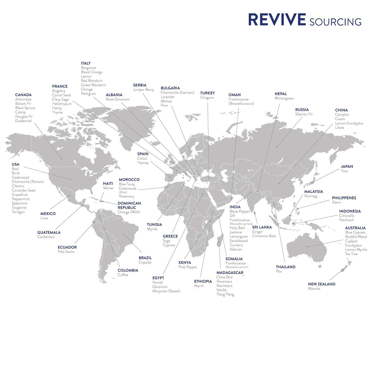 REVIVE Bugs Away packaging and aromatherapy setup