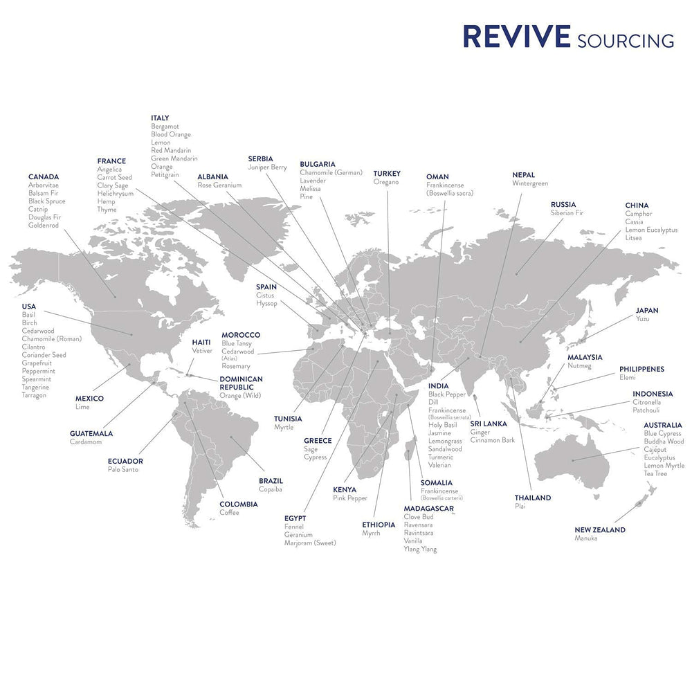 REVIVE Bugs Away packaging and aromatherapy setup