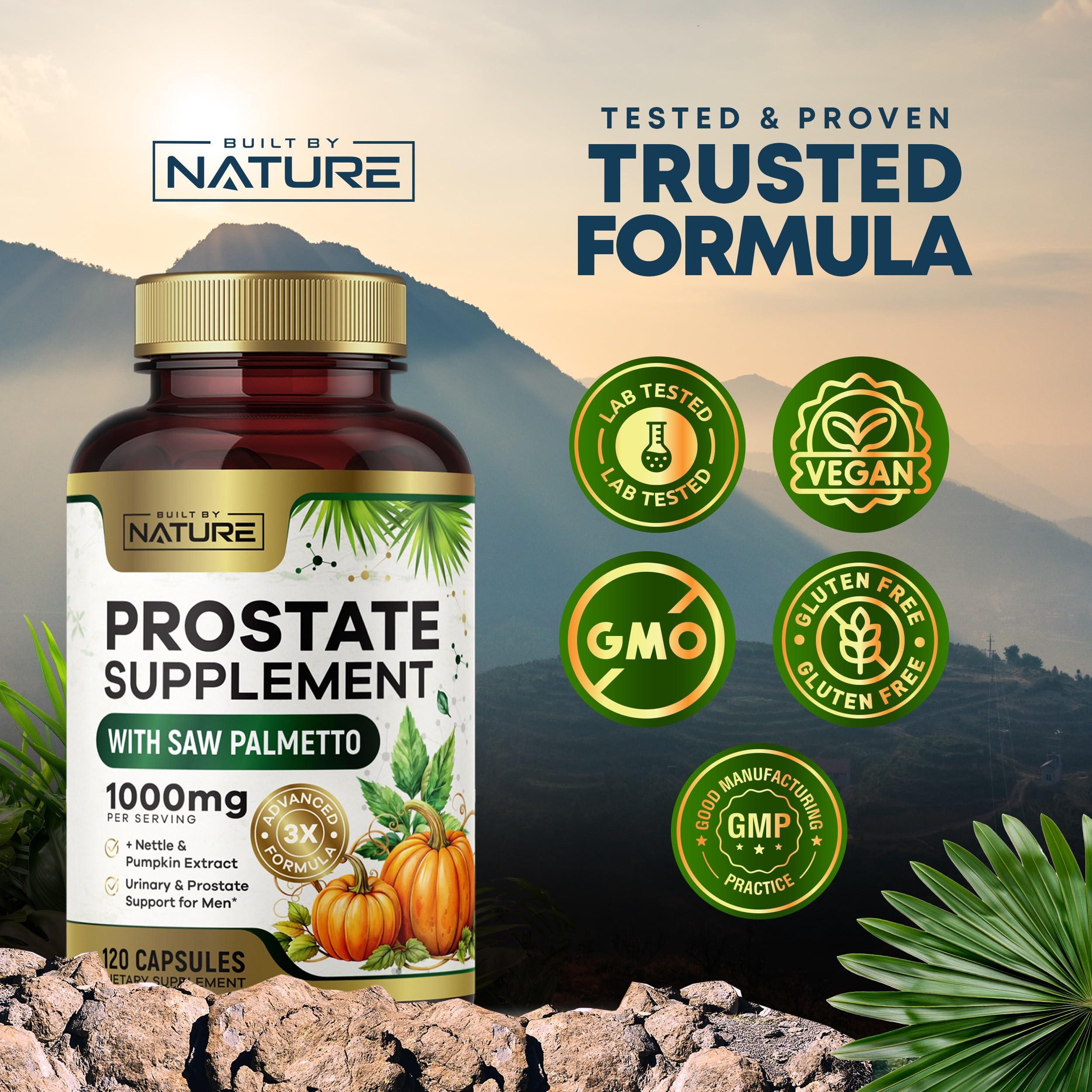 Illustration of urinary health and prostate support
