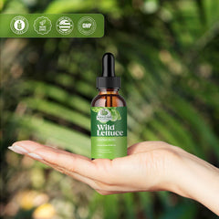 Bulk 4 oz packaging for Amazing Botanicals tincture