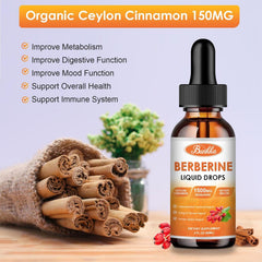 Graphic illustrating the 10-in-1 Berberine blend ingredients