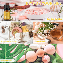 Top notes concept: Osmanthus fragrans, apricot, and Cinnamon