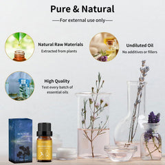 Heart notes concept: chrysanthemum and tea tree