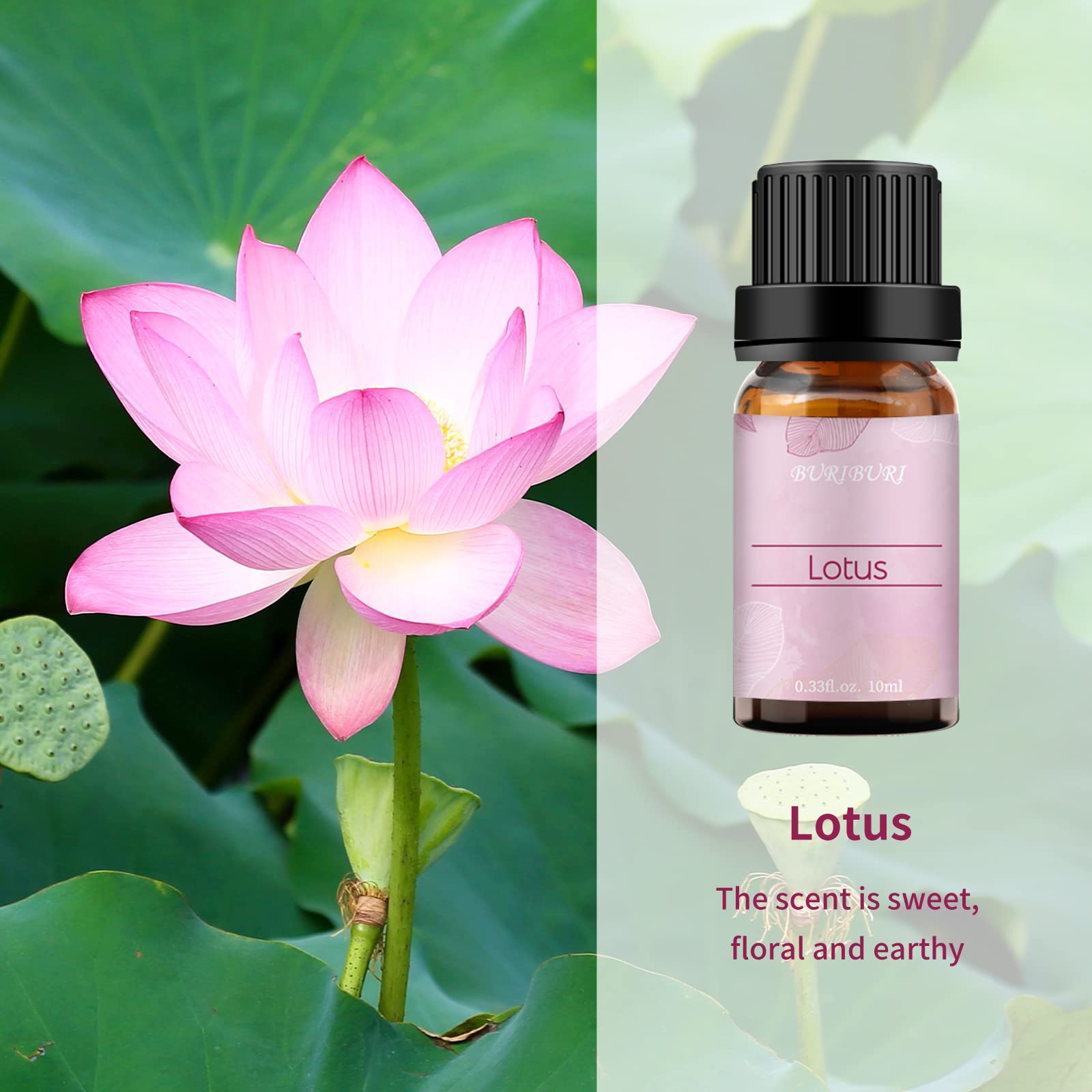 Lotus essential oil 10ml in amber glass bottle