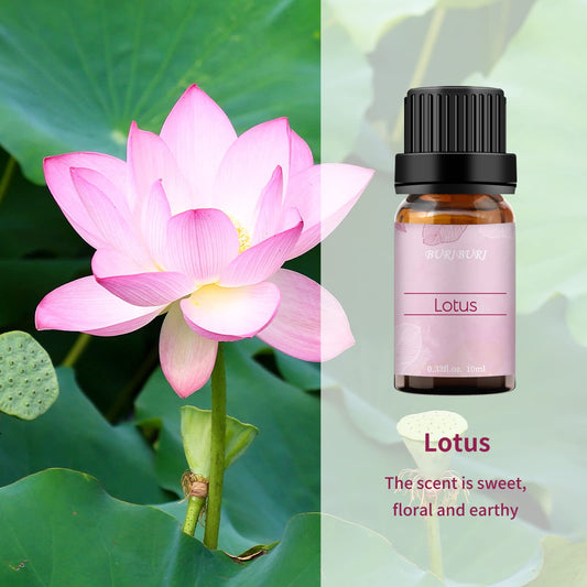 Lotus essential oil 10ml in amber glass bottle