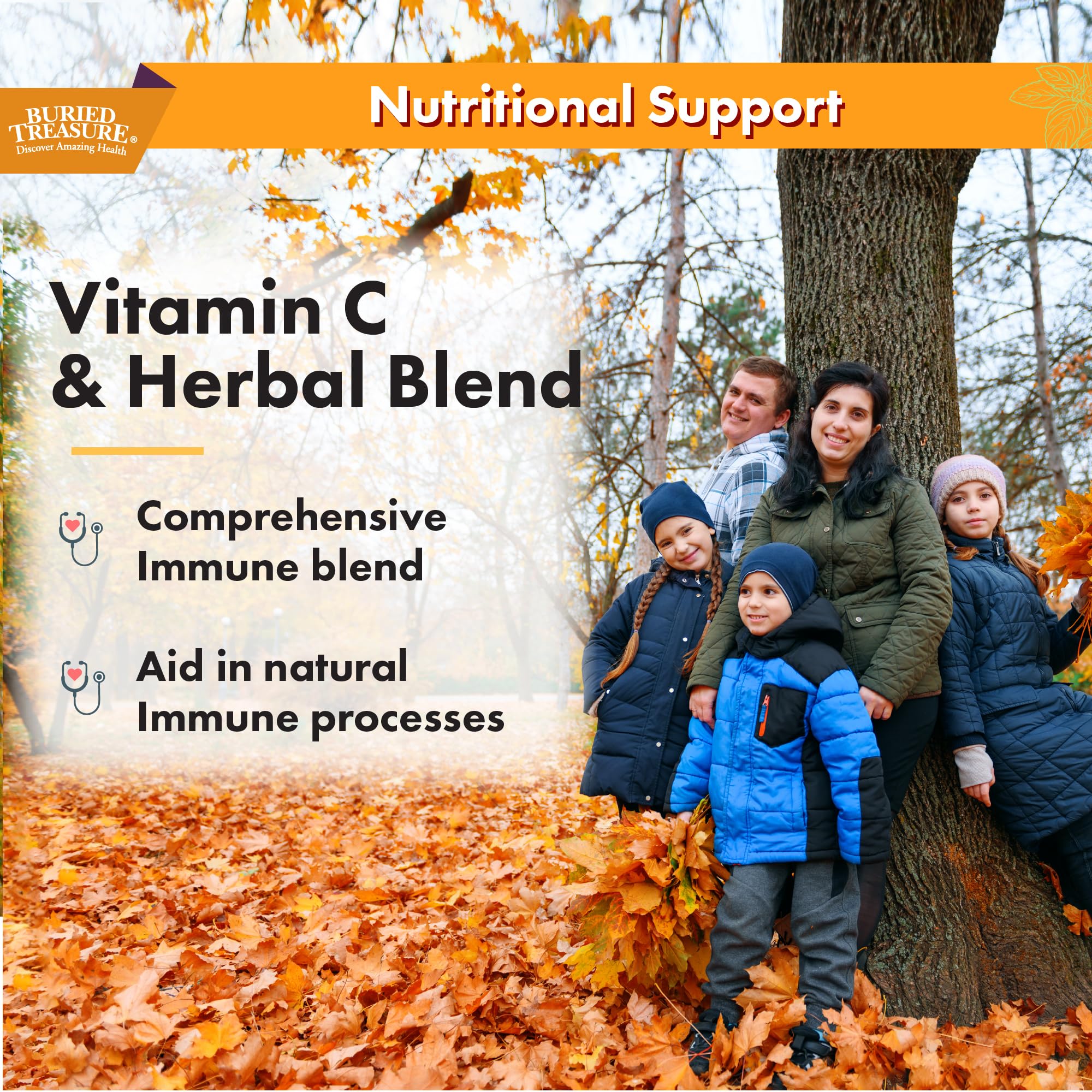 Elderberry and zinc components of Buried Treasure Immune Wellness