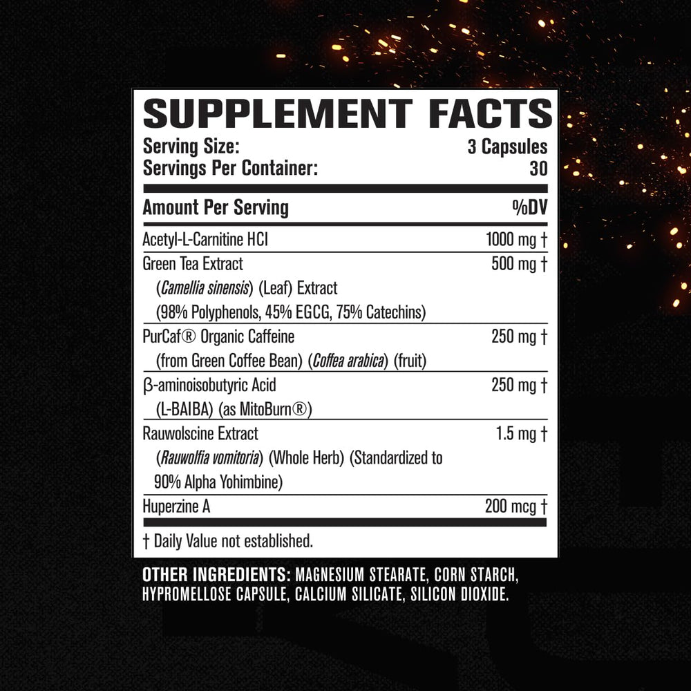 Acetyl L-Carnitine ingredient in Burn-XT Max