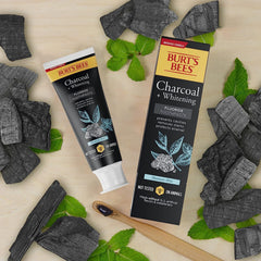 Ingredients illustration for Burt's Bees charcoal toothpaste