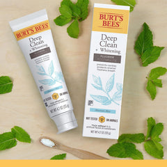 Front view of Burt's Bees toothpaste packaging with Mountain Mint flavor