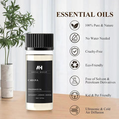 Amber and Musk base notes visual for Cabana diffuser