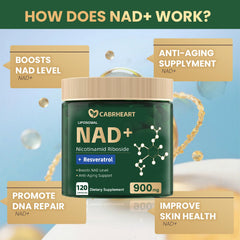 Graphic illustrating NAD+ energy metabolism and health
