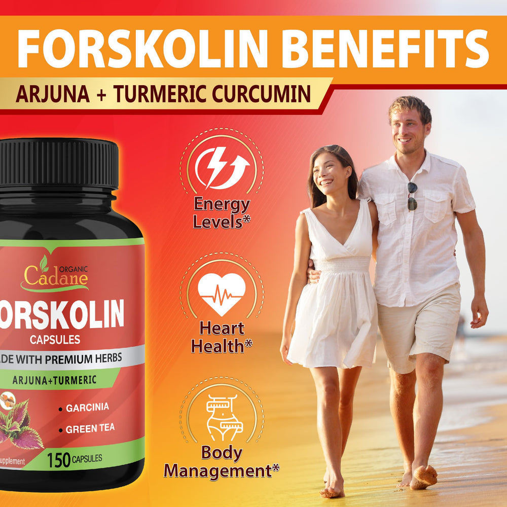 Garcinia Cambogia and Green Tea capsule blend