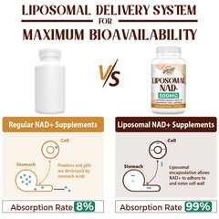 Caenciennes Liposomal NAD+ soft gels pour easy swallowing and absorption
