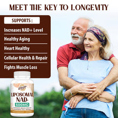 Caenciennes Liposomal NAD+ use in morning routine for steady energy