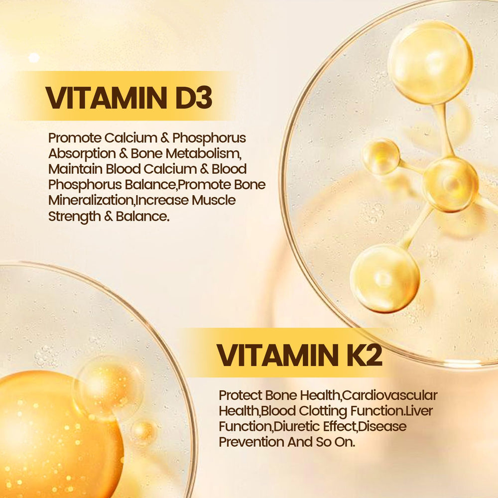 Graphic illustrating calcium absorption and bone support