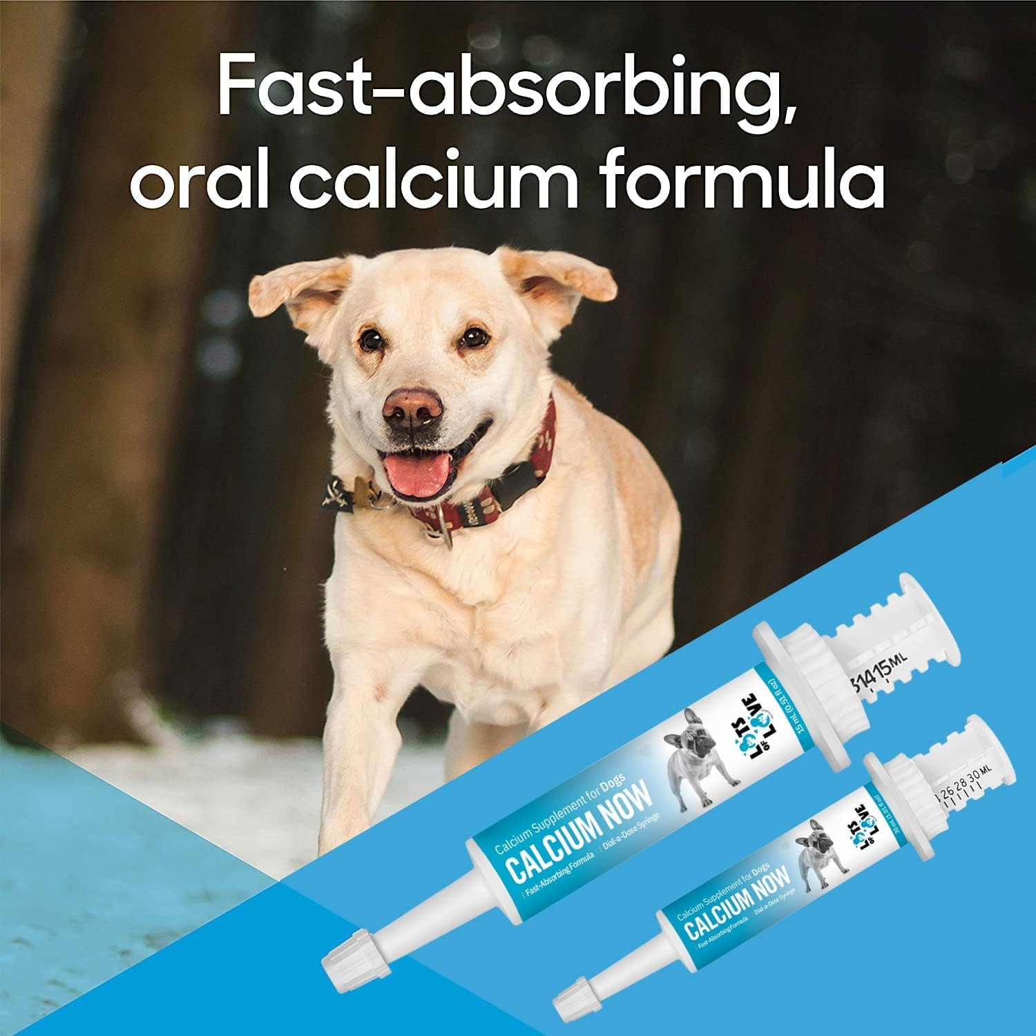 MCT oil in Calcium Now to support mental alertness in pregnant dogs