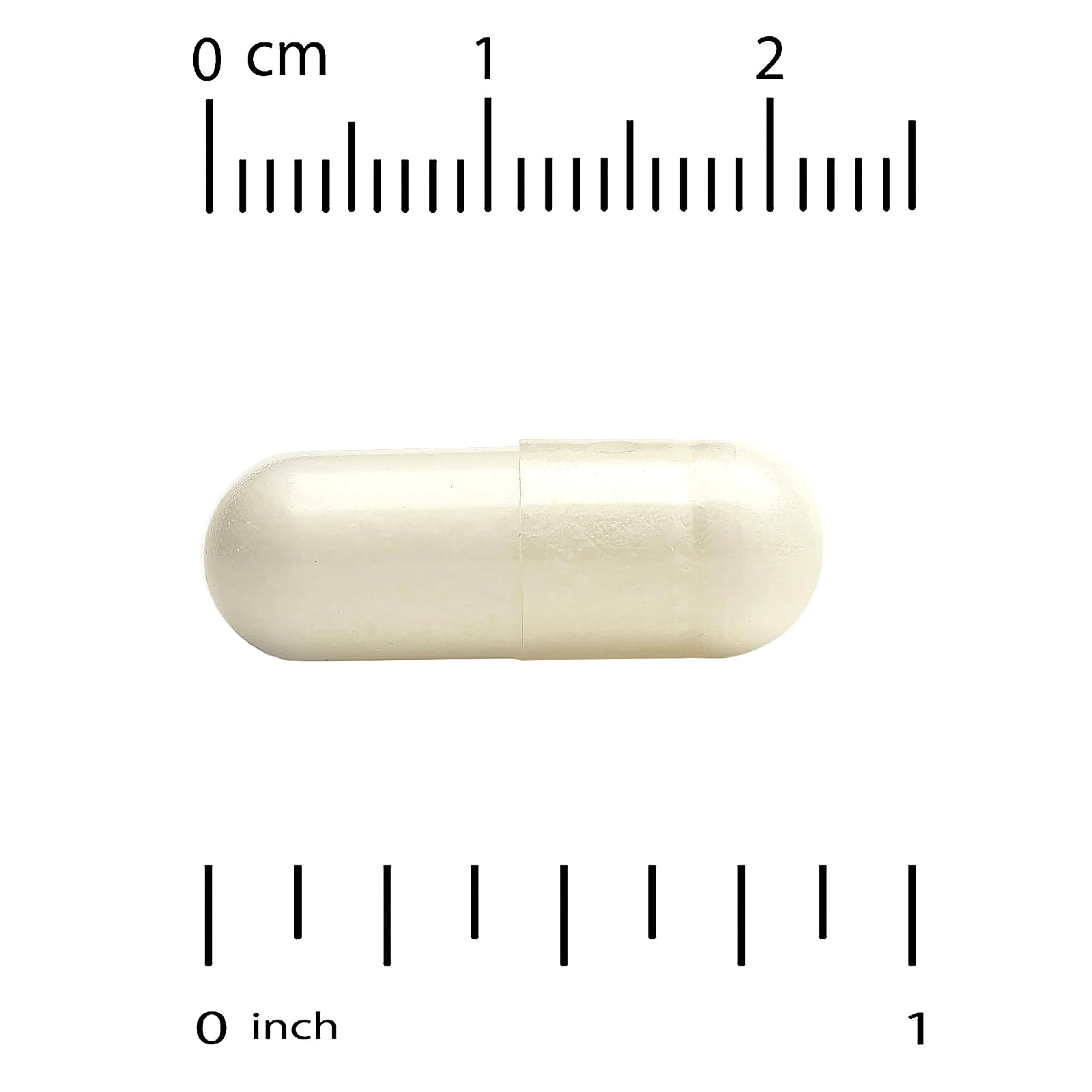 Close-up of probiotic capsules showing texture and color