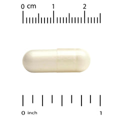 Close-up of probiotic capsules showing texture and color
