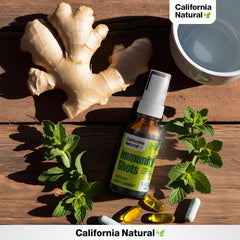 Astragalus root, olive leaf, and grapefruit seed extracts detail