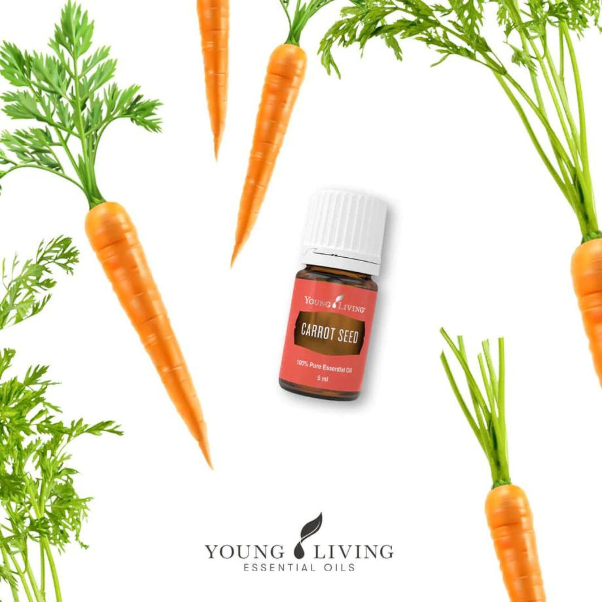 Calm ritual scene with Carrot Seed Oil hints at stress-relief aromatherapy possibilities.