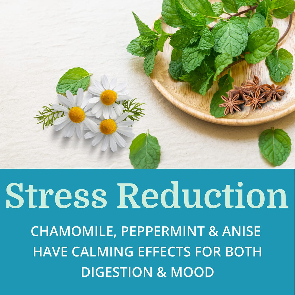 Calming herbs Chamomile, Peppermint and Anise Seed illustration