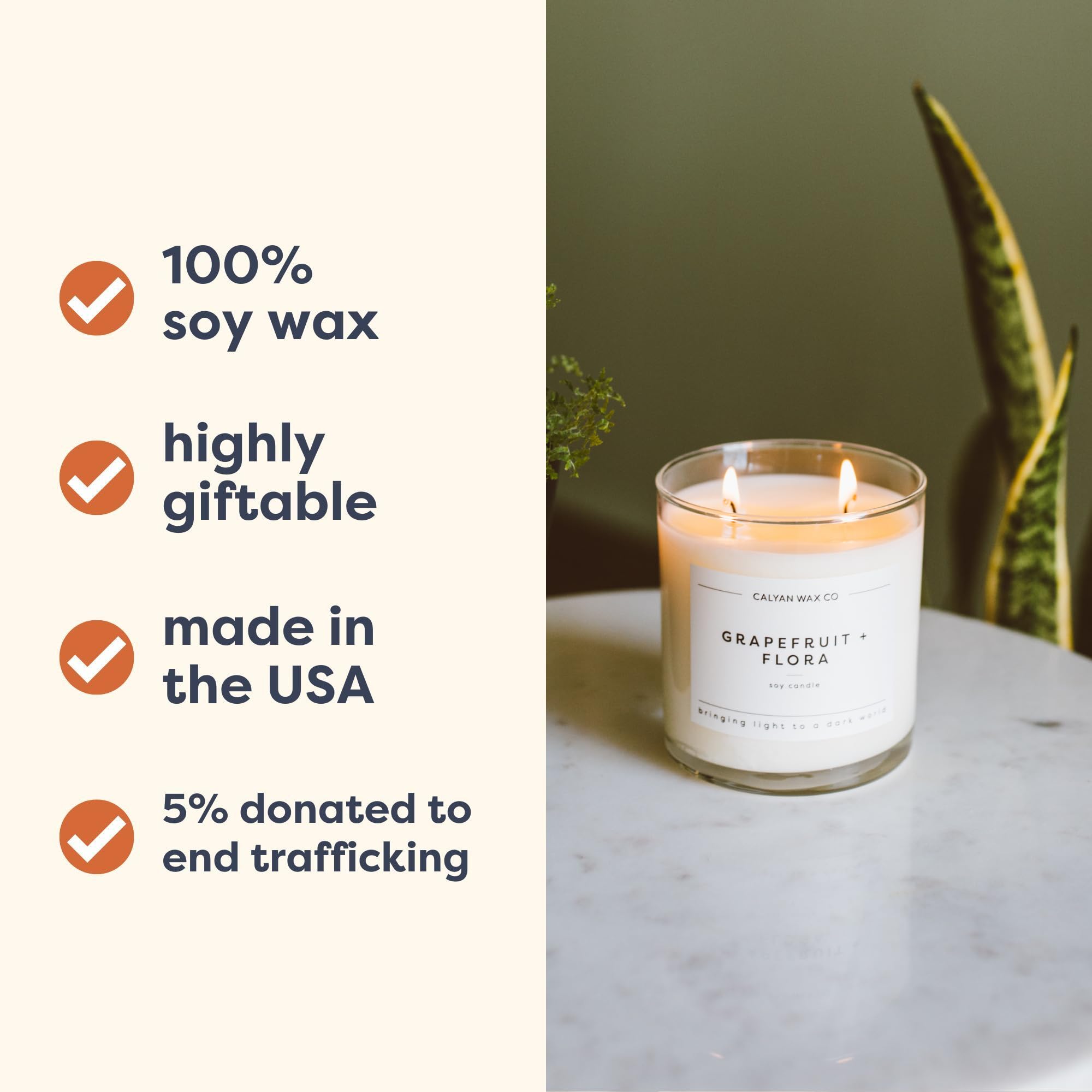 Graphic highlighting earthy notes: campfire smoke, leather, pine, cedarwood