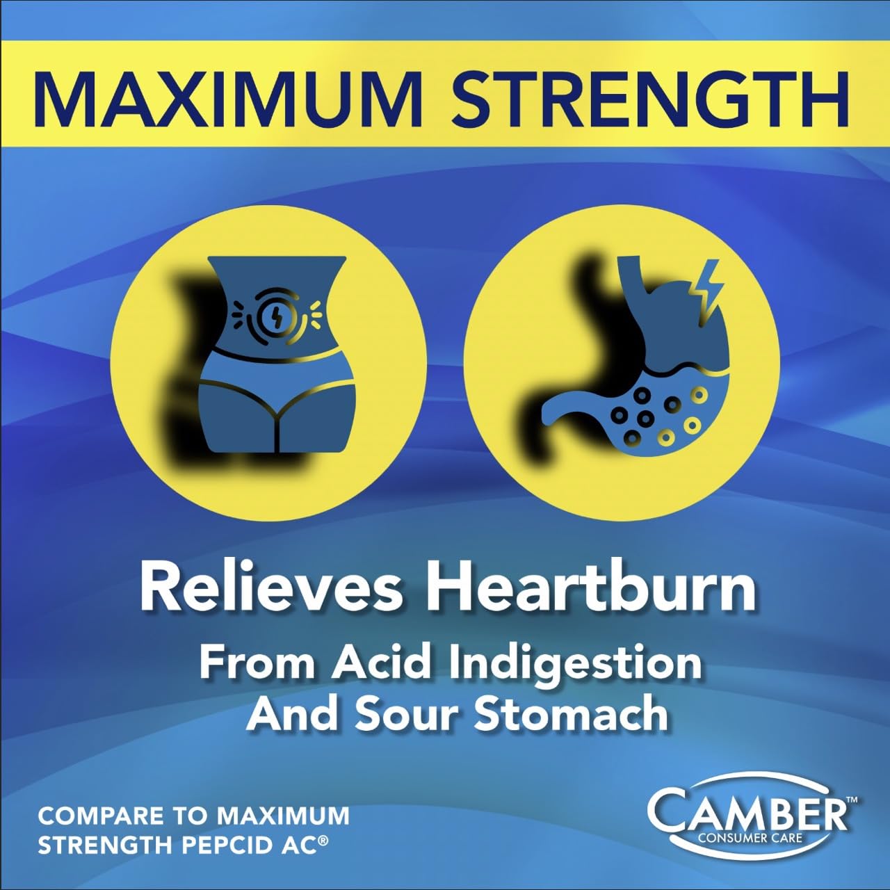 Camber Pharmaceuticals 100-count bottle with label offers convenient long-lasting acid relief.