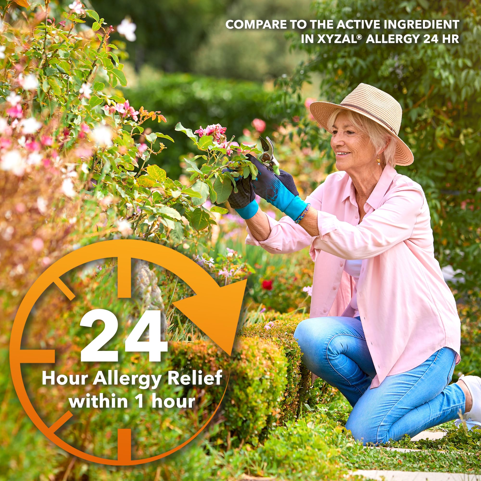 Camber Consumer Care levocetirizine 24hour relief graphic communicates all-day symptom support.