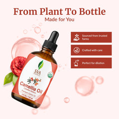 Camellia Seed Oil used for face and skin care