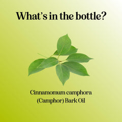 Aromatherapy diffuser with camphor oil